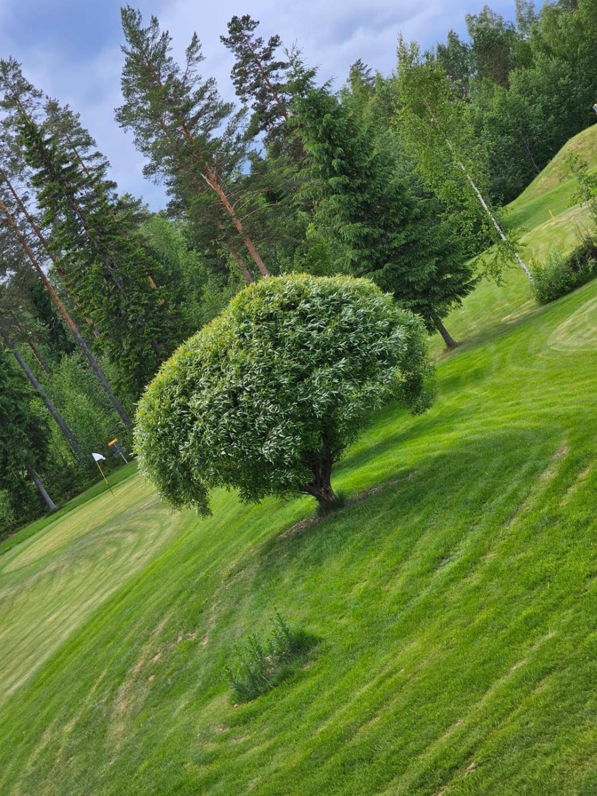 Kesaeaitat 호텔 Ähtäri 외부 사진